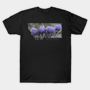Five Pasque Flowers T-Shirt